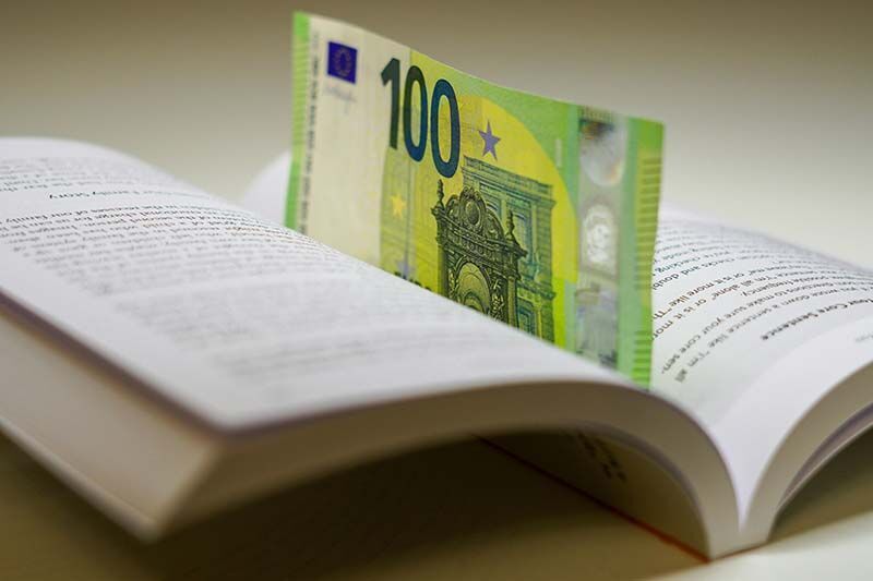 Ein 100-Euro-Schein steht aufrecht in einem aufgeklappten Taschenbuch.